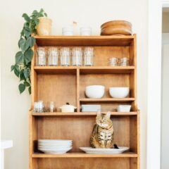 プラスチック製の食器類・保存容器は人体に安全なの？どんな健康リスクがある？