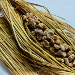 世界の発酵食品の起源と日本での歴史