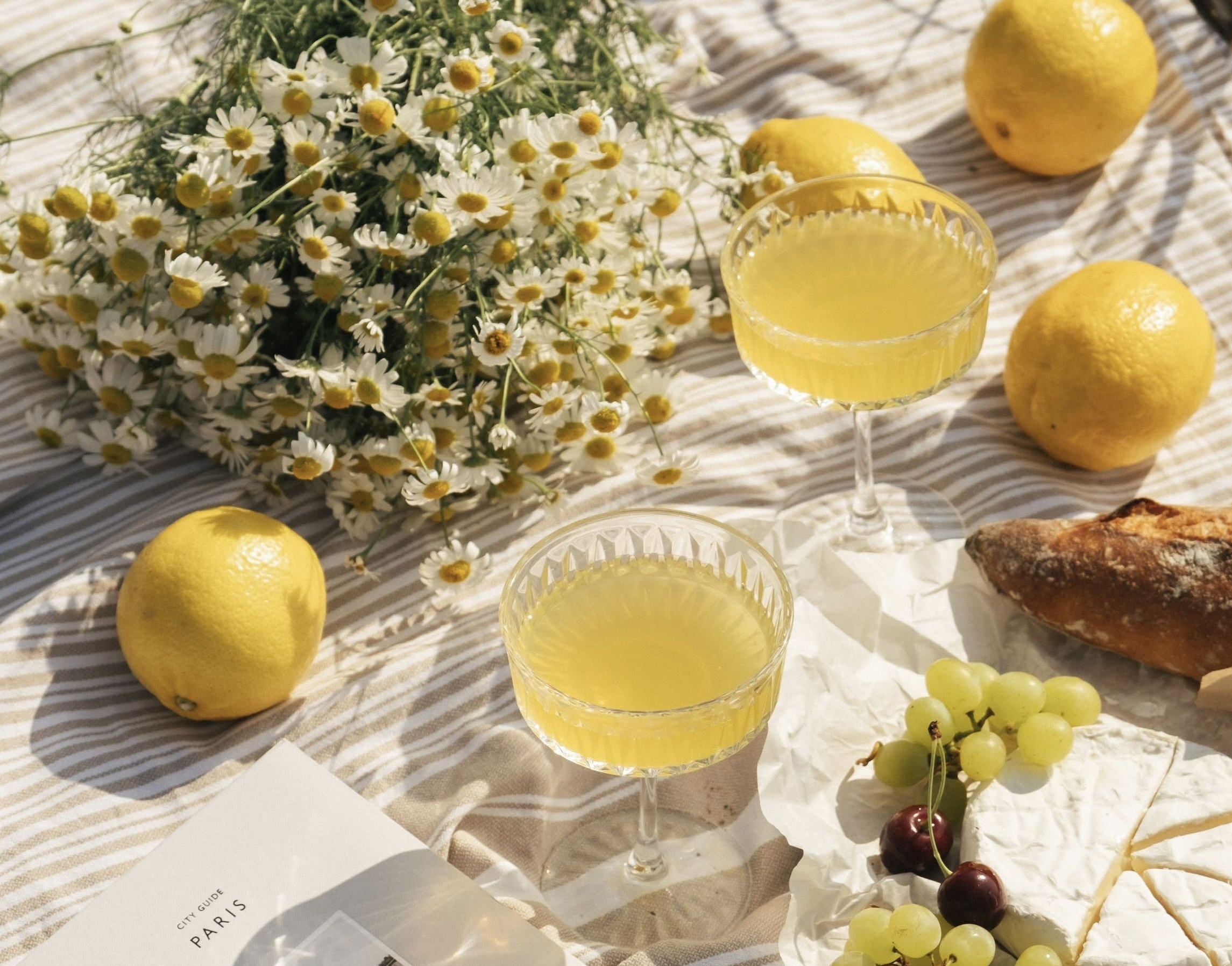 プライバシーポリシー