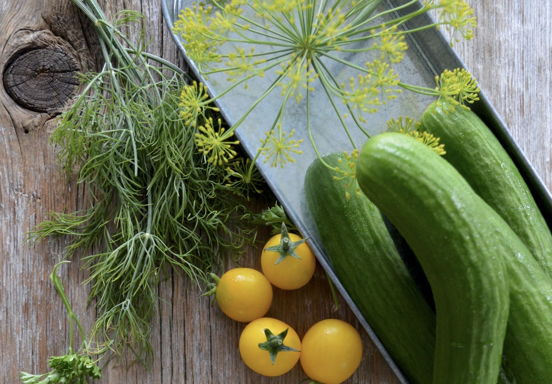 特定商取引に基づく表記