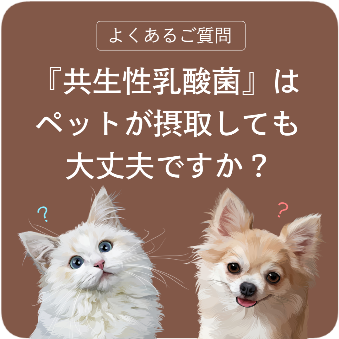 保存しやすい♪ やぼったく お試しに！ バイオ消臭剤『猫ピタ』